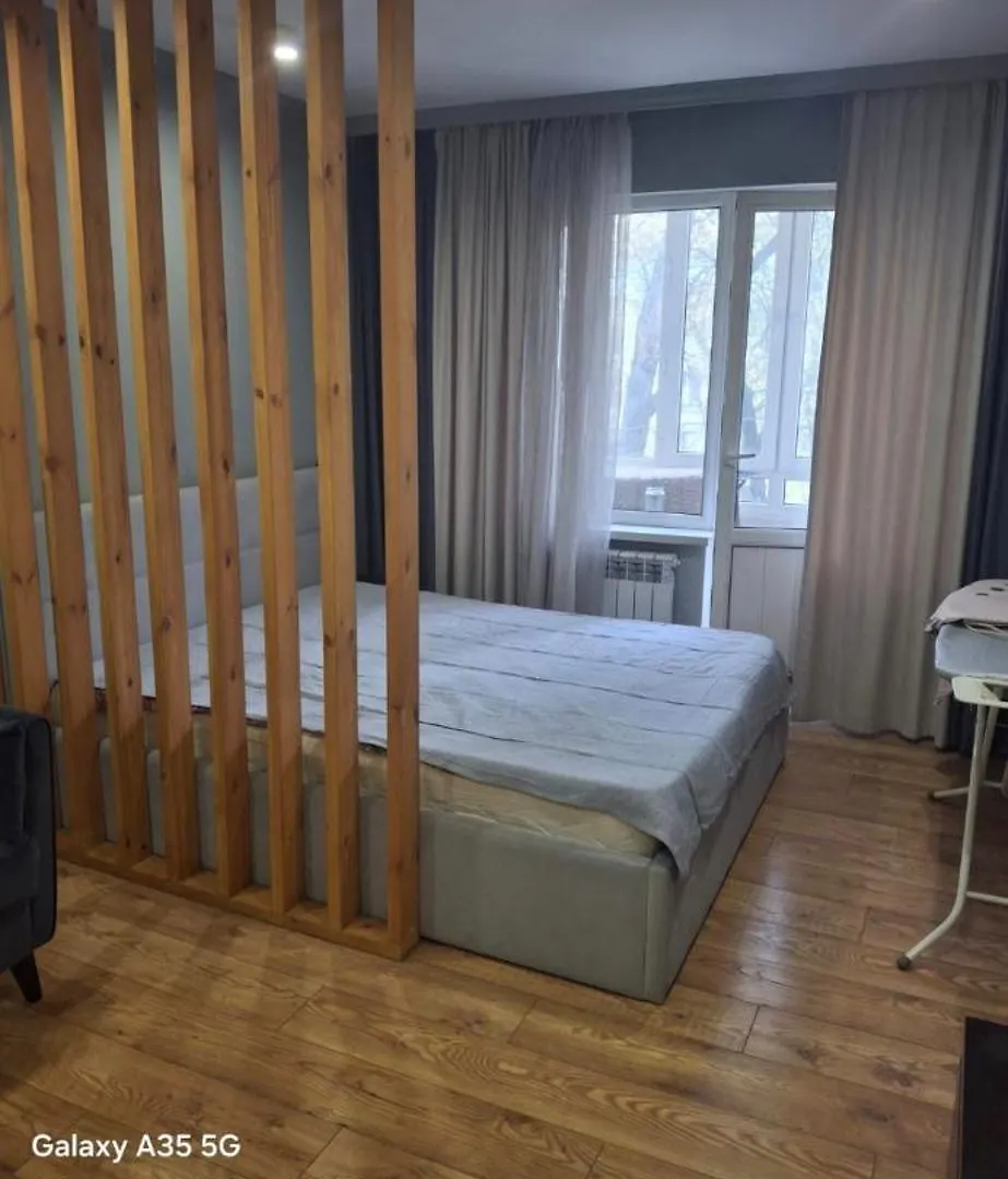 Flat Apartment Almaty Kazakhstan